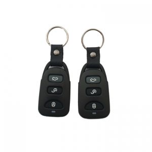 Hyundai i10 Schlüssel / Zentralverriegelung